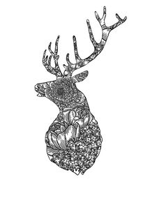 品牌插畫平面設(shè)計(jì) 視覺(jué)語(yǔ)言與商業(yè)價(jià)值的完美融合