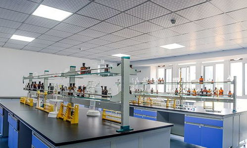 淺談食品工廠設(shè)計(jì)化驗(yàn)室的設(shè)計(jì)原則與技術(shù)開發(fā)要點(diǎn)